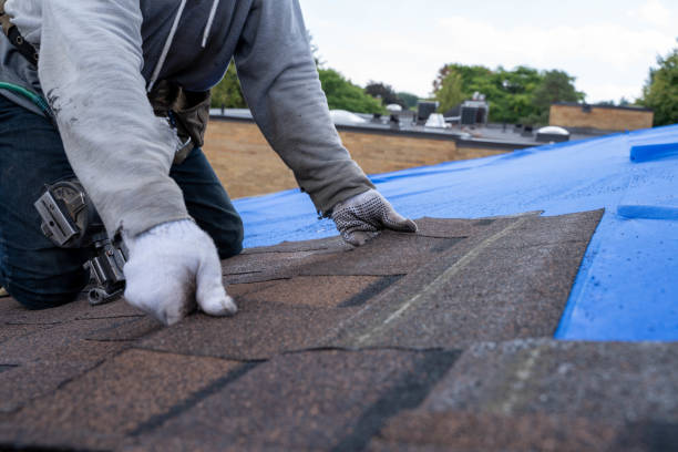 Quick and Trustworthy Emergency Roof Repair Services in Holtville, AL