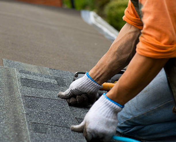 Quick and Trustworthy Emergency Roof Repair Services in Holtville, AL