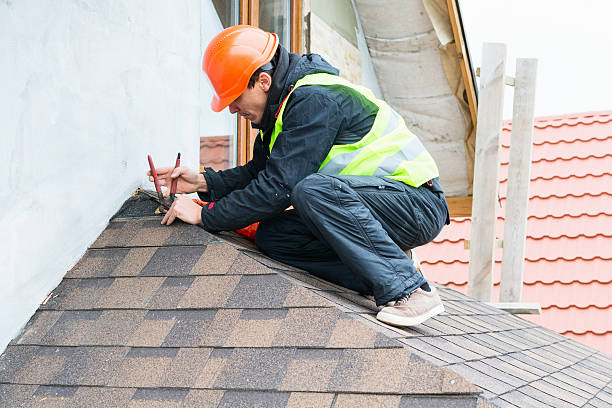 Best Roof Gutter Cleaning  in Holtville, AL